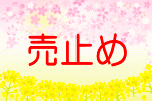 ܁@ywZʁz@܏wZ n 650~